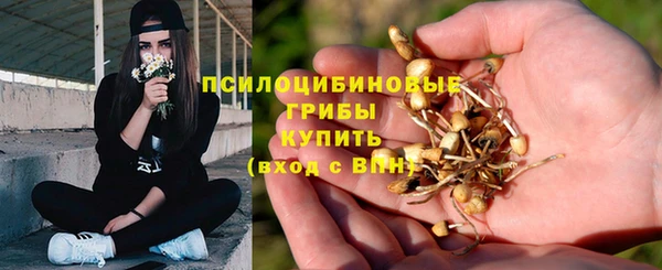 mdpv Заводоуковск